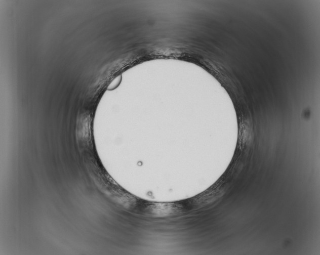 X0000115220623200912091222