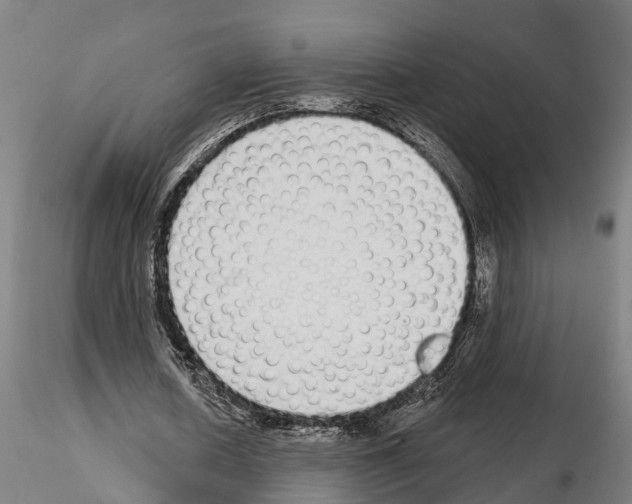 X0000115220626200912091221