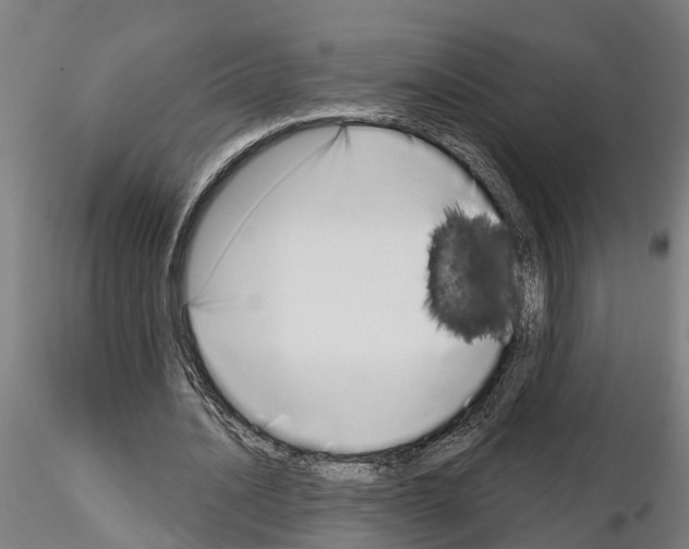 X0000115220628200912091221