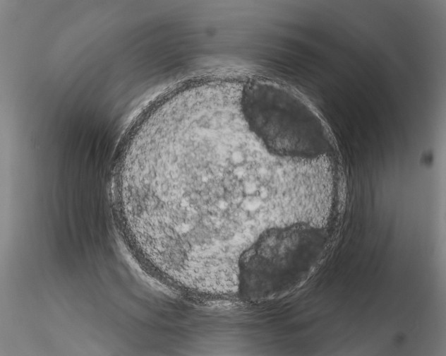 X0000115220629200912091221