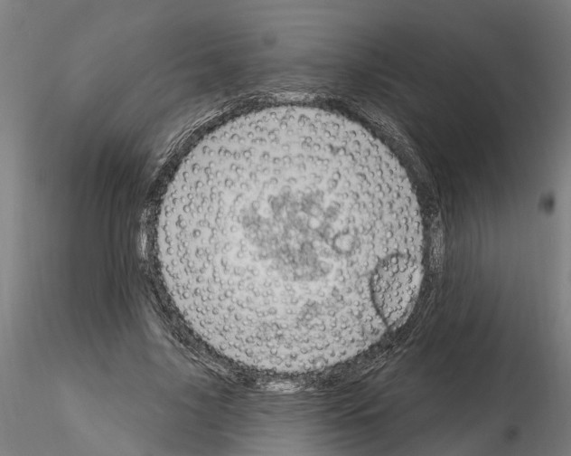 X0000115220635200912091221