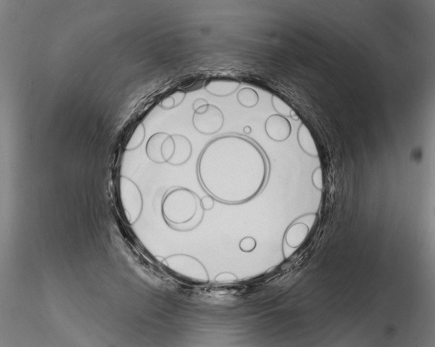 X0000115220638200912091221