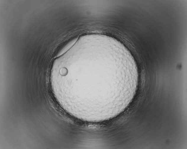 X0000115220641200912091221