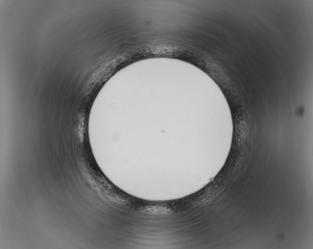 X0000115220644200912091221