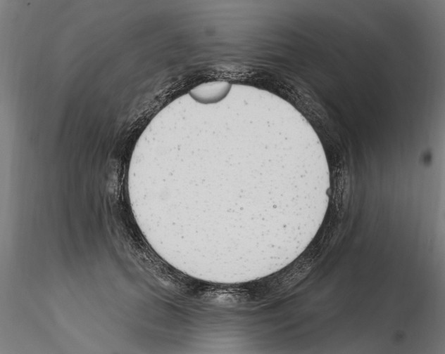 X0000115220655200912091221