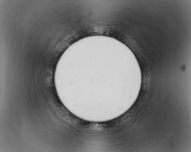 X0000115220656200912091222