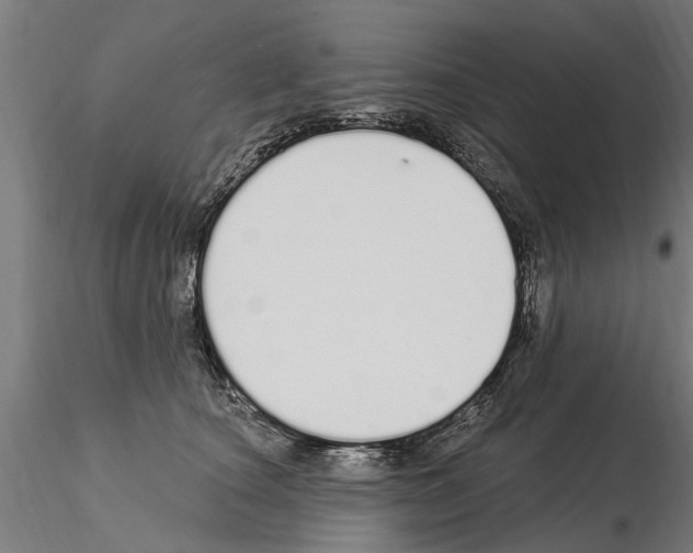 X0000115220660200912091222