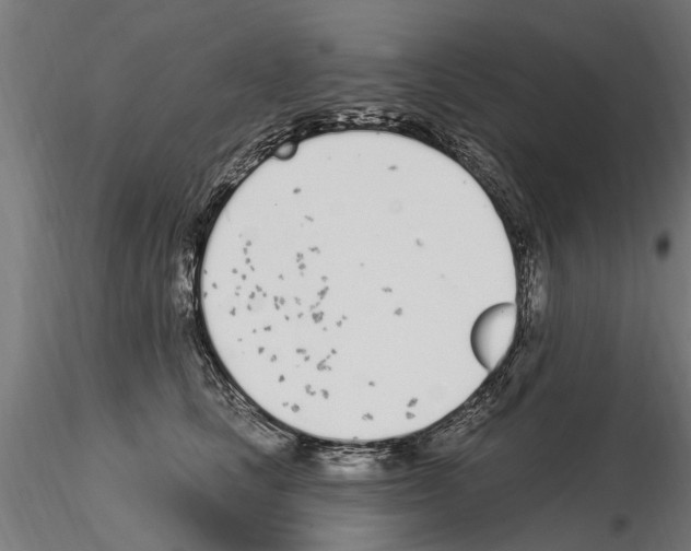 X0000115220661200912091222