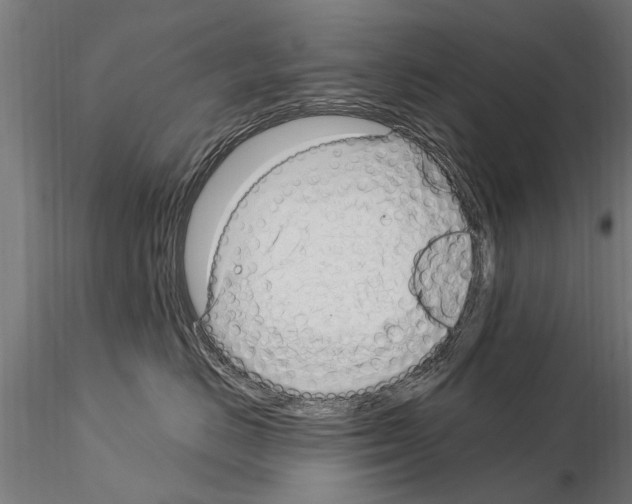 X0000115220670200912091222