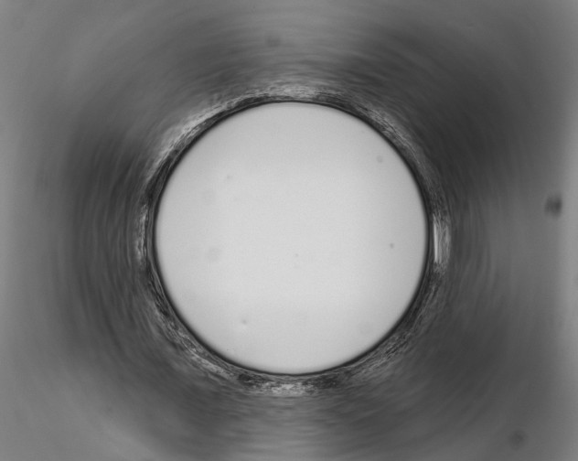 X0000115220675200912091221