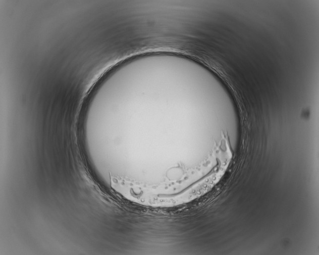 X0000115220676200912091221
