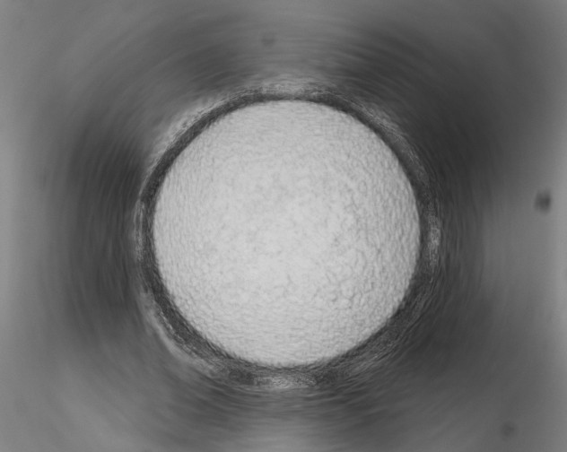X0000115220678200912091221