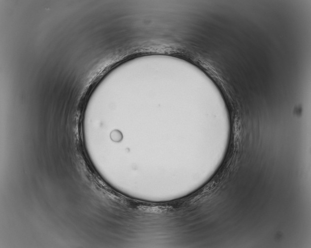 X0000115220679200912091221
