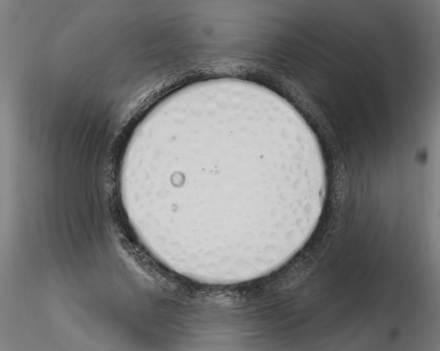X0000115220683200912091221