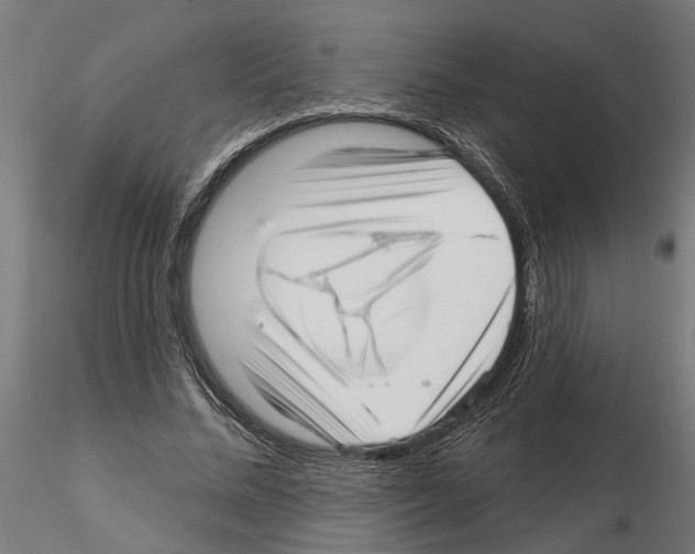 X0000115220684200912091221