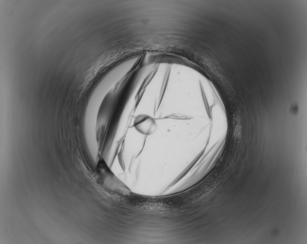 X0000115220685200912091221