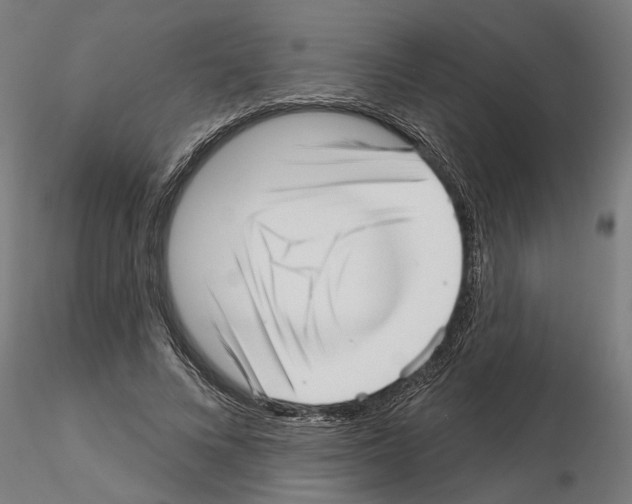 X0000115220688200912091221