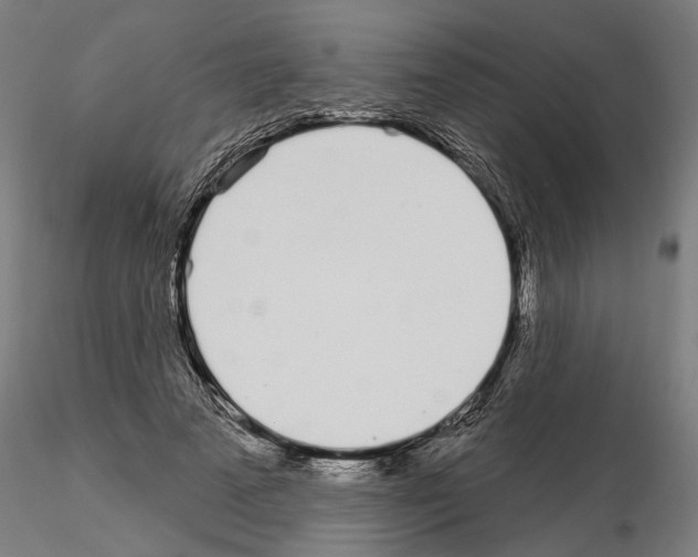X0000115220689200912091221