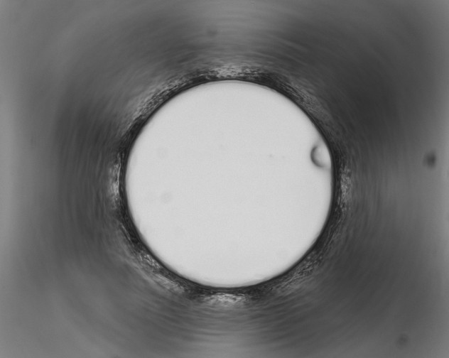 X0000115220691200912091221