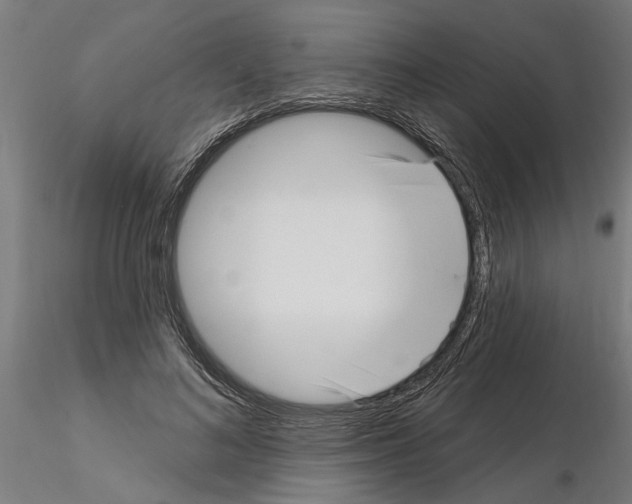 X0000115220692200912091221