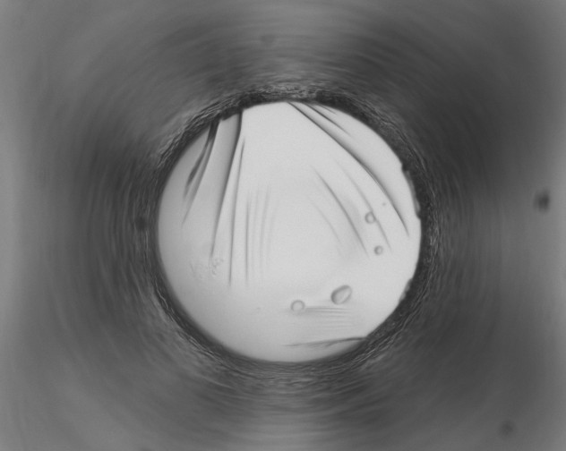 X0000115220693200912091221