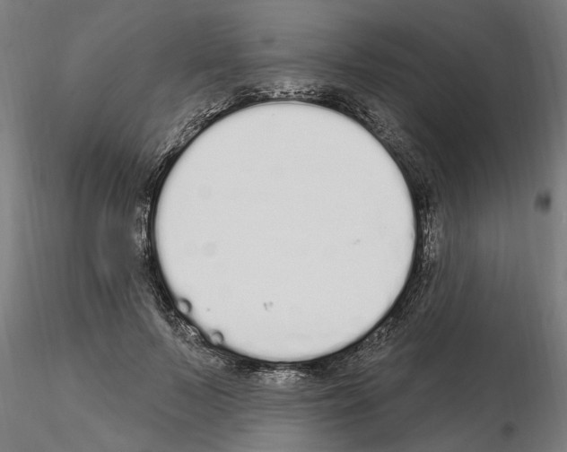 X0000115220695200912091221