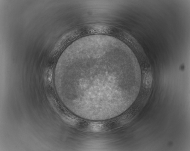 X0000115220701200912091221