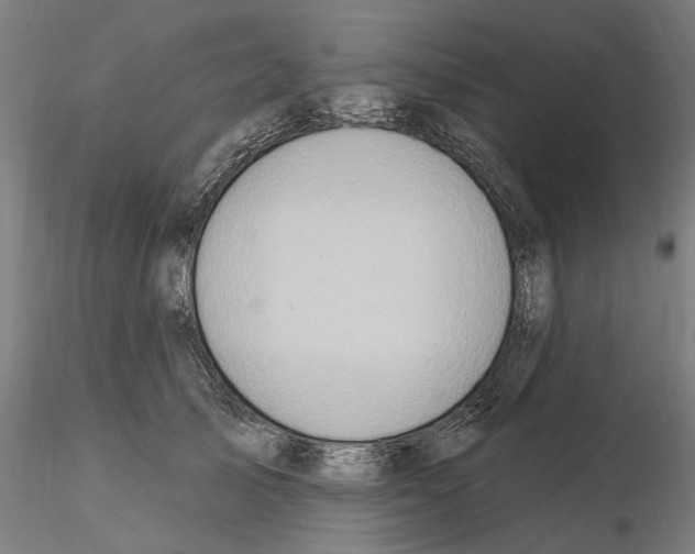 X0000115220705200912091220