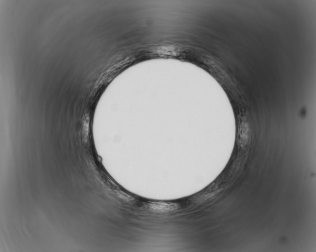X0000115220707200912091220