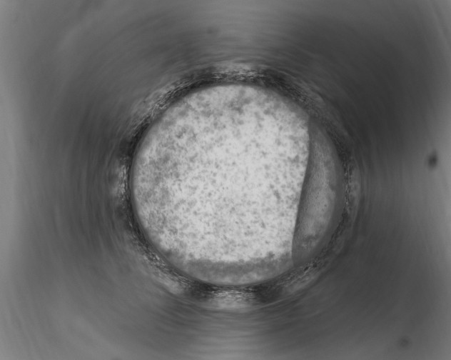 X0000115220708200912091220