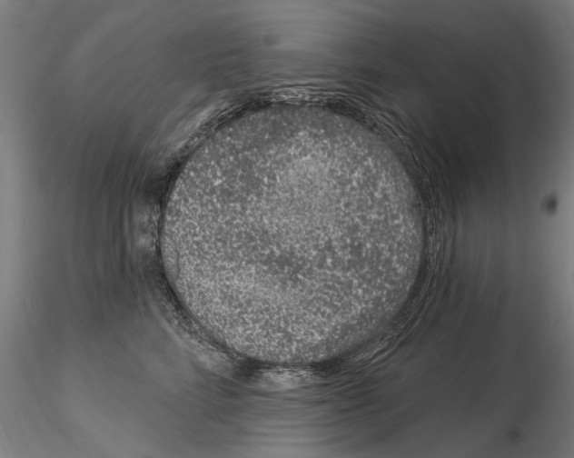 X0000115220712200912091220