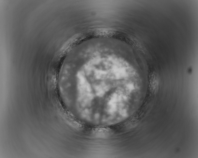 X0000115220716200912091220
