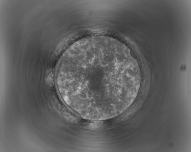 X0000115220720200912091220