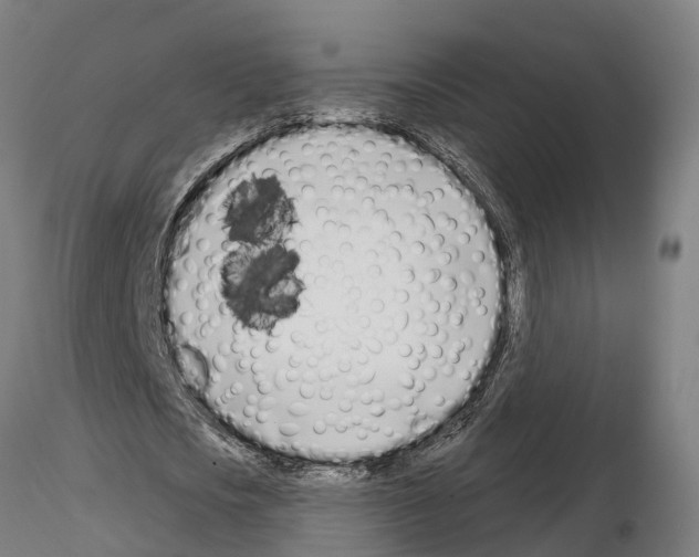 X0000115220721200912091220