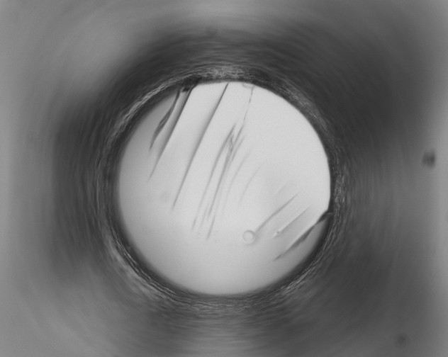 X0000115220722200912091220