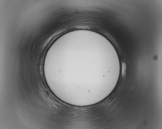 X0000115220723200912091220