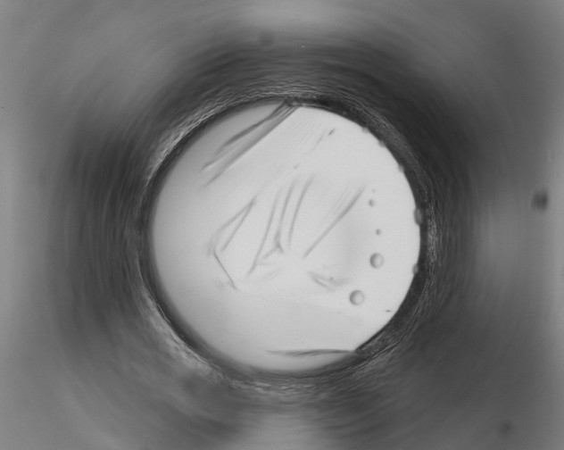 X0000115220725200912091220