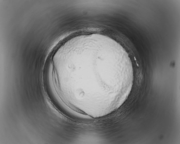 X0000115220726200912091220