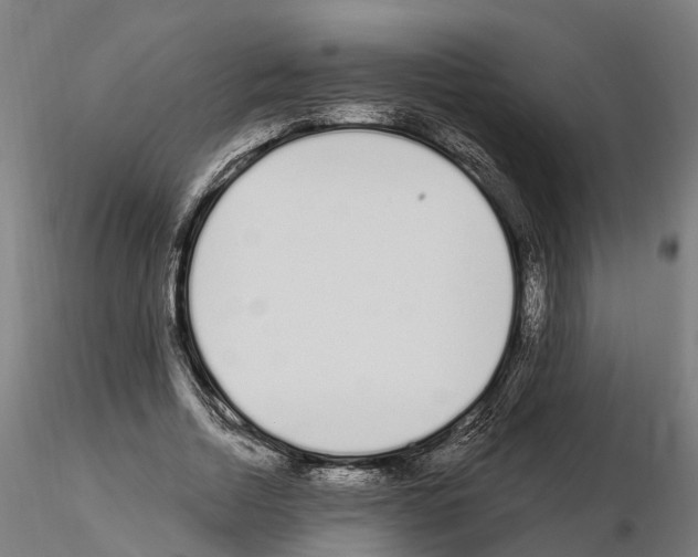 X0000115220730200912091220