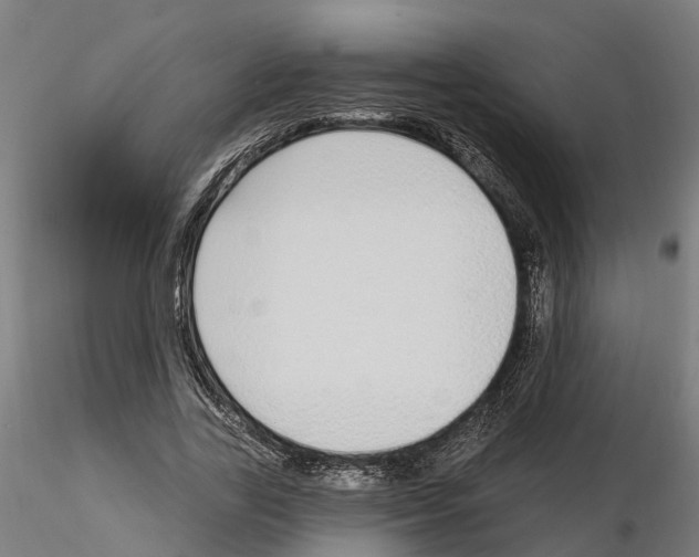 X0000115220731200912091220