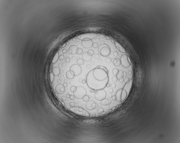 X0000115220734200912091220