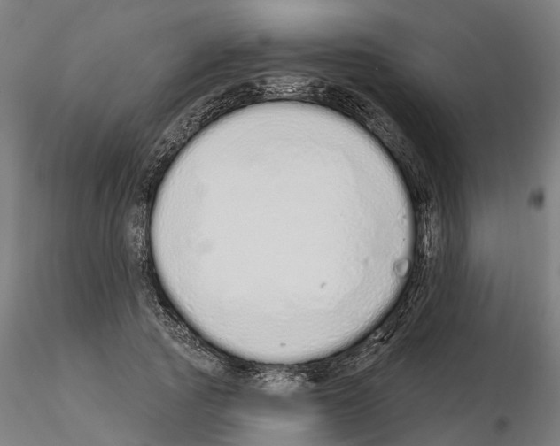 X0000115220737200912091220