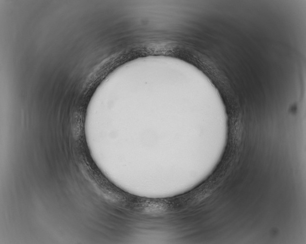 X0000115220741200912091220