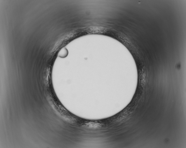 X0000115220742200912091220