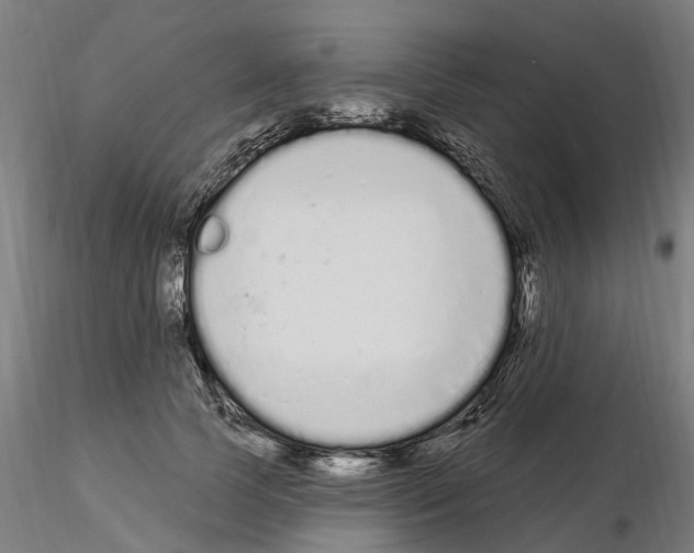 X0000115220745200912091220