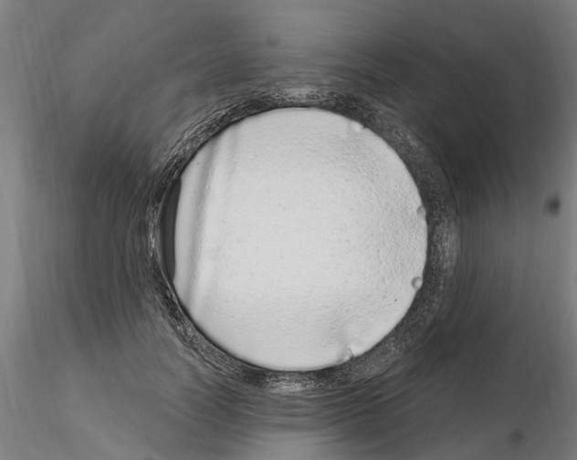 X0000115220746200912091220