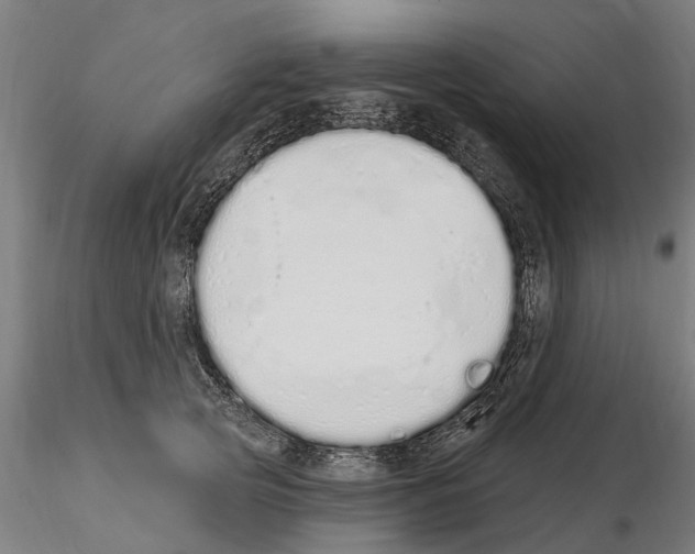 X0000115220753200912091220