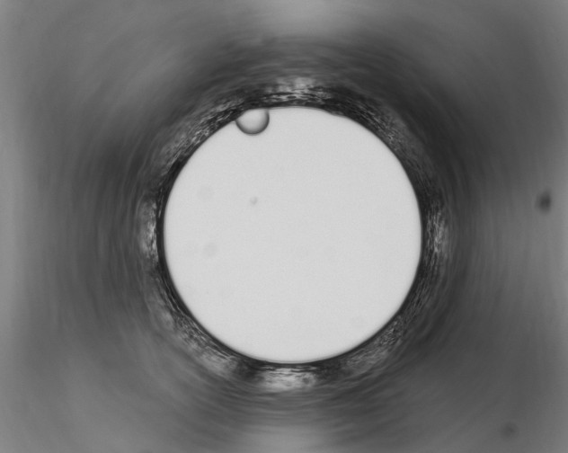 X0000115220754200912091220