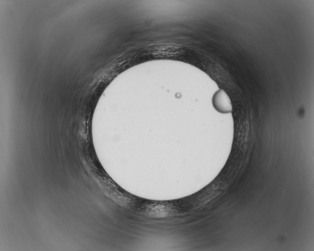 X0000115220755200912091220