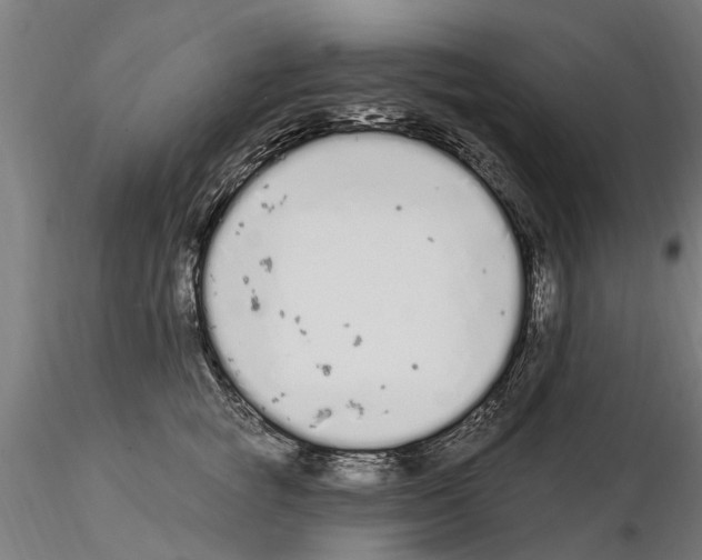 X0000115220757200912091220